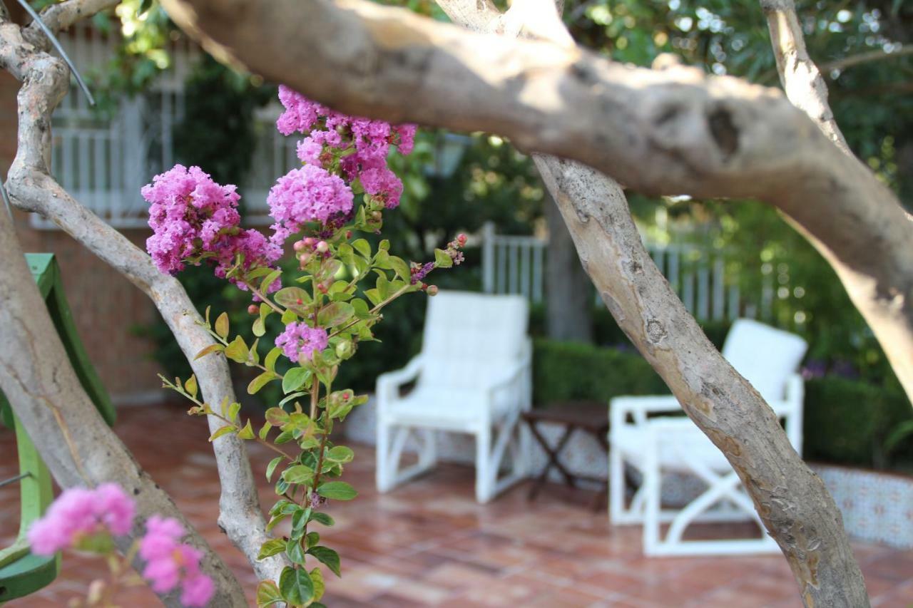 El Jardin De La Abuela Villa Granada Kültér fotó