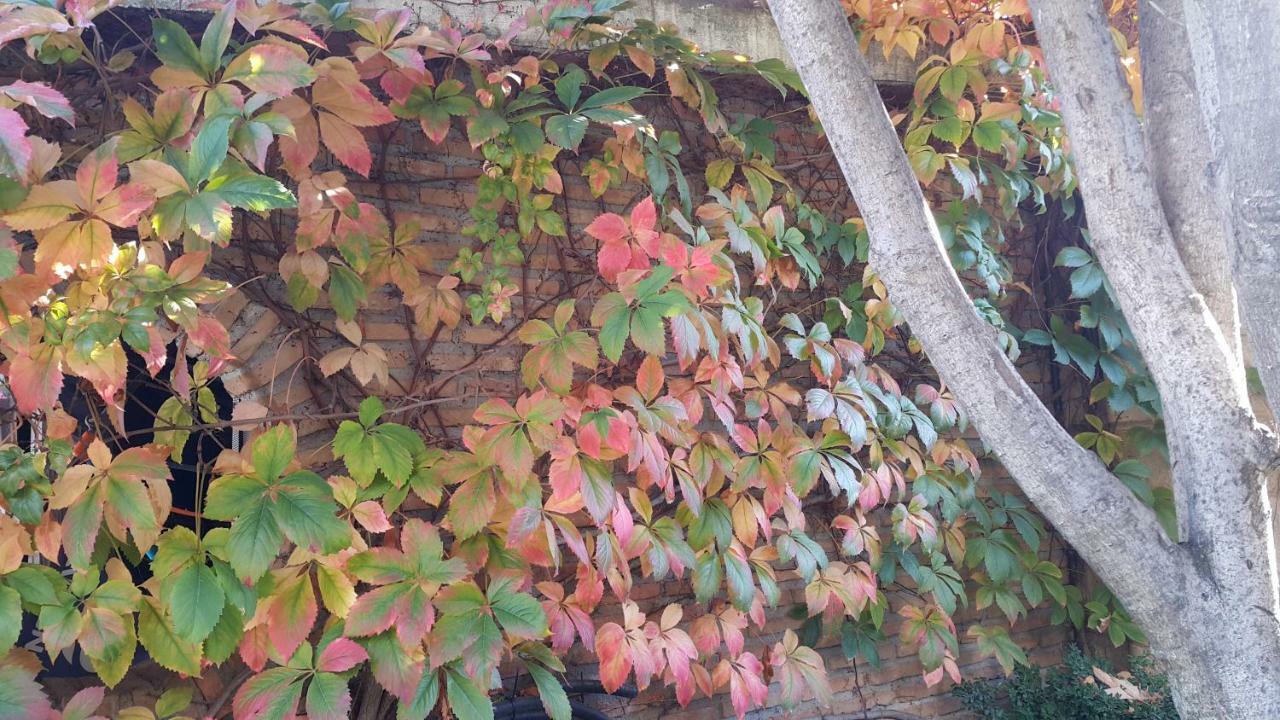 El Jardin De La Abuela Villa Granada Kültér fotó