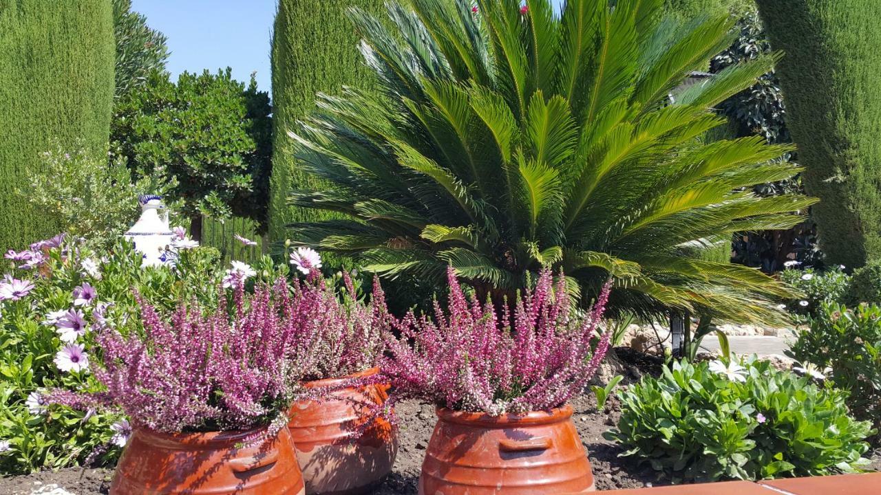 El Jardin De La Abuela Villa Granada Kültér fotó