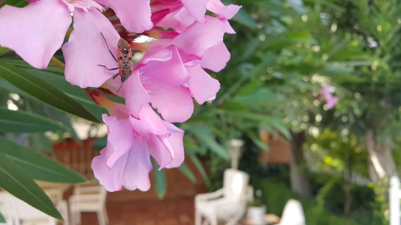 El Jardin De La Abuela Villa Granada Kültér fotó