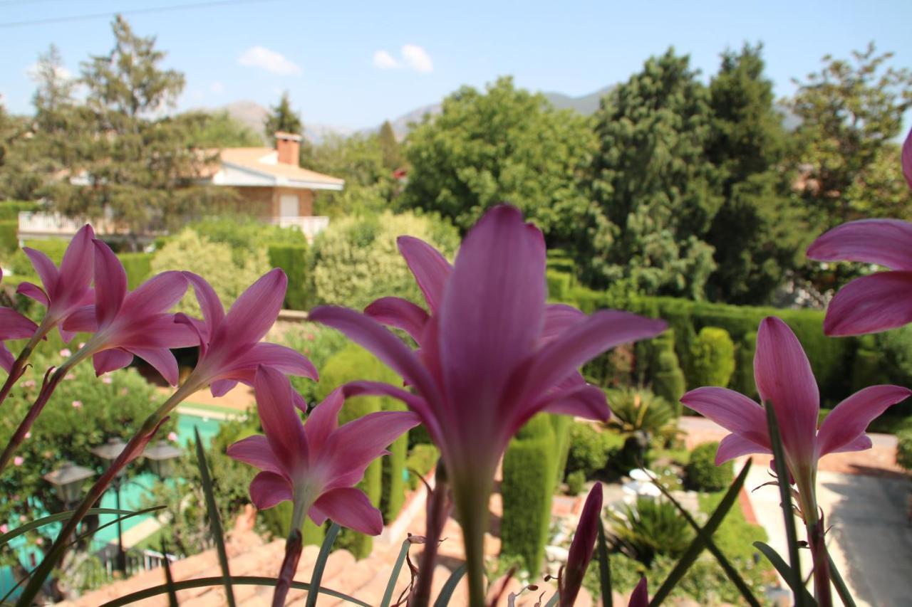 El Jardin De La Abuela Villa Granada Kültér fotó