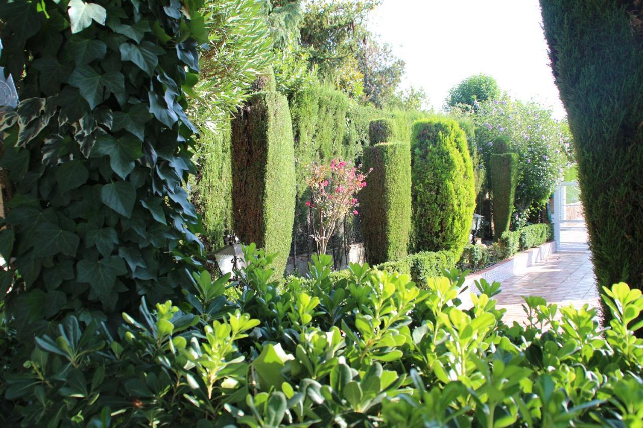 El Jardin De La Abuela Villa Granada Kültér fotó